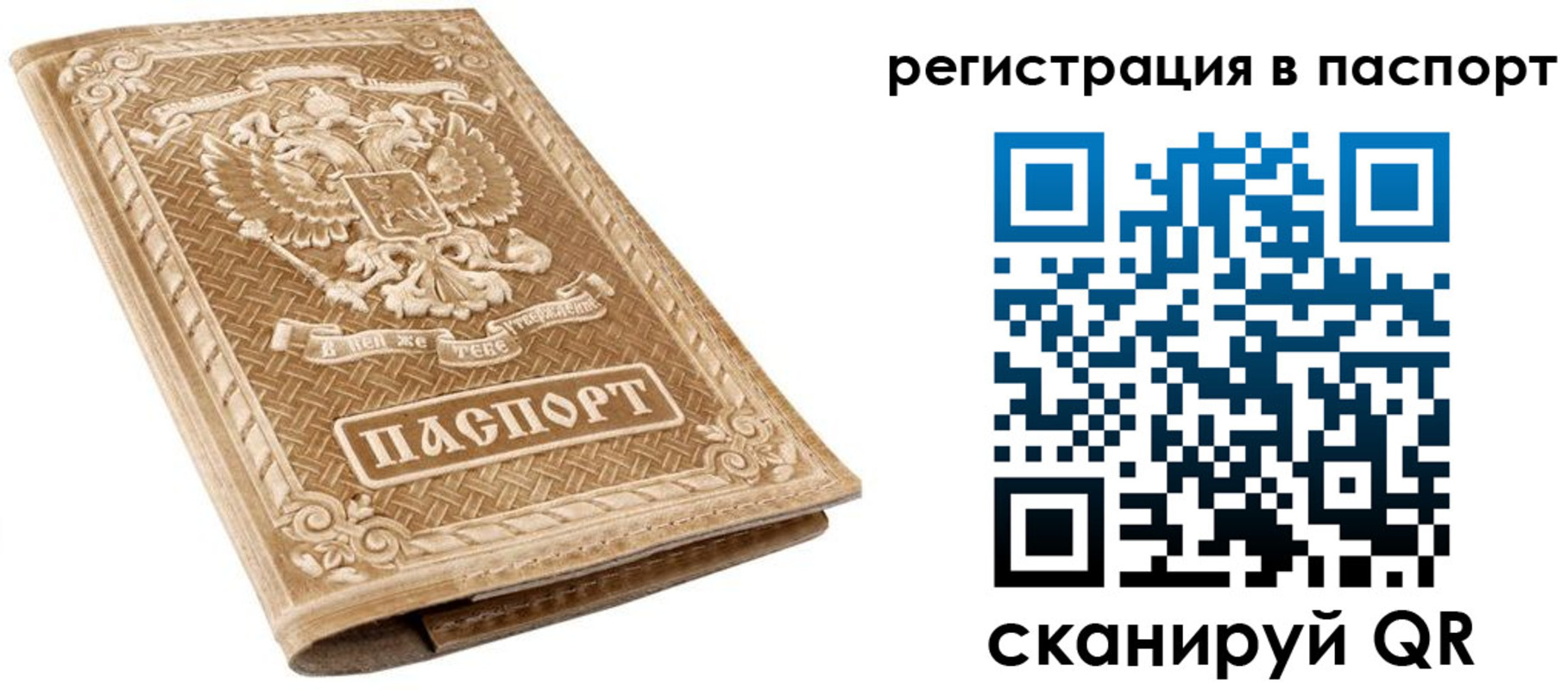 прописка в Щиграх
